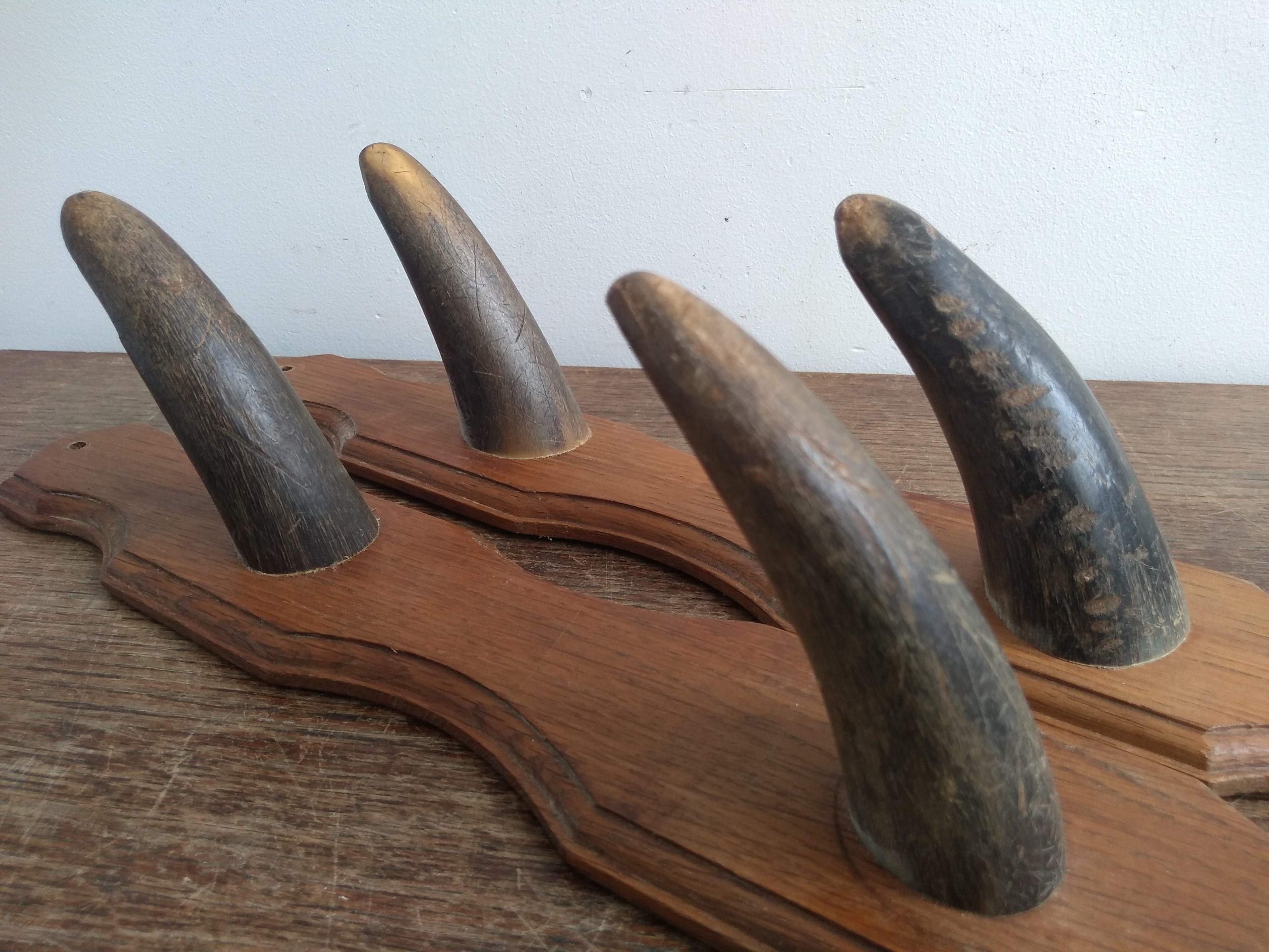 Vintage French cow horn coat hook rack hanger taxidermy hunting trophy den lodge rustic rural decor circa 1920-30’s 2 Vintage French cow horn coat hook rack hanger taxidermy hunting trophy den lodge rustic rural decor circa 1920-30's - Image 2