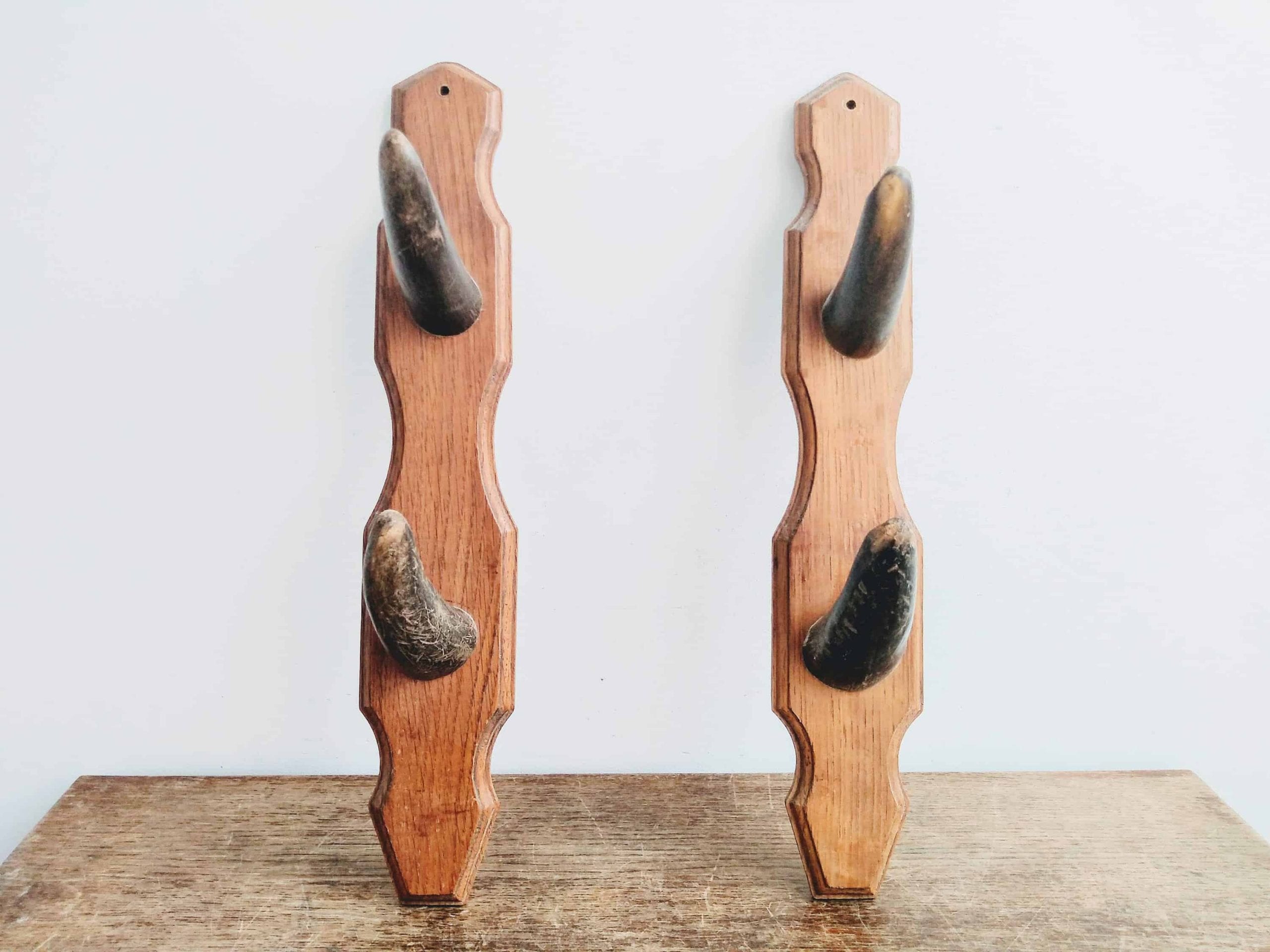 Vintage French cow horn coat hook rack hanger taxidermy hunting trophy den lodge rustic rural decor circa 1920-30’s Vintage French cow horn coat hook rack hanger taxidermy hunting trophy den lodge rustic rural decor circa 1920-30's