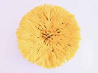 Vintage African Extra Large Yellow Bird Feathers Fancy Wall Hanging Decor Colour Pop Heavy Souvenir Gift Sun c1980-90’s Vintage African Extra Large Yellow Bird Feathers Fancy Wall Hanging Decor Colour Pop Heavy Souvenir Gift Sun c1980-90's