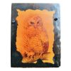 Vintage English Doverow Country Crafts Decoupage Owl Bird Print Picture On Slate Wall Hanging Display circa 1970-80's