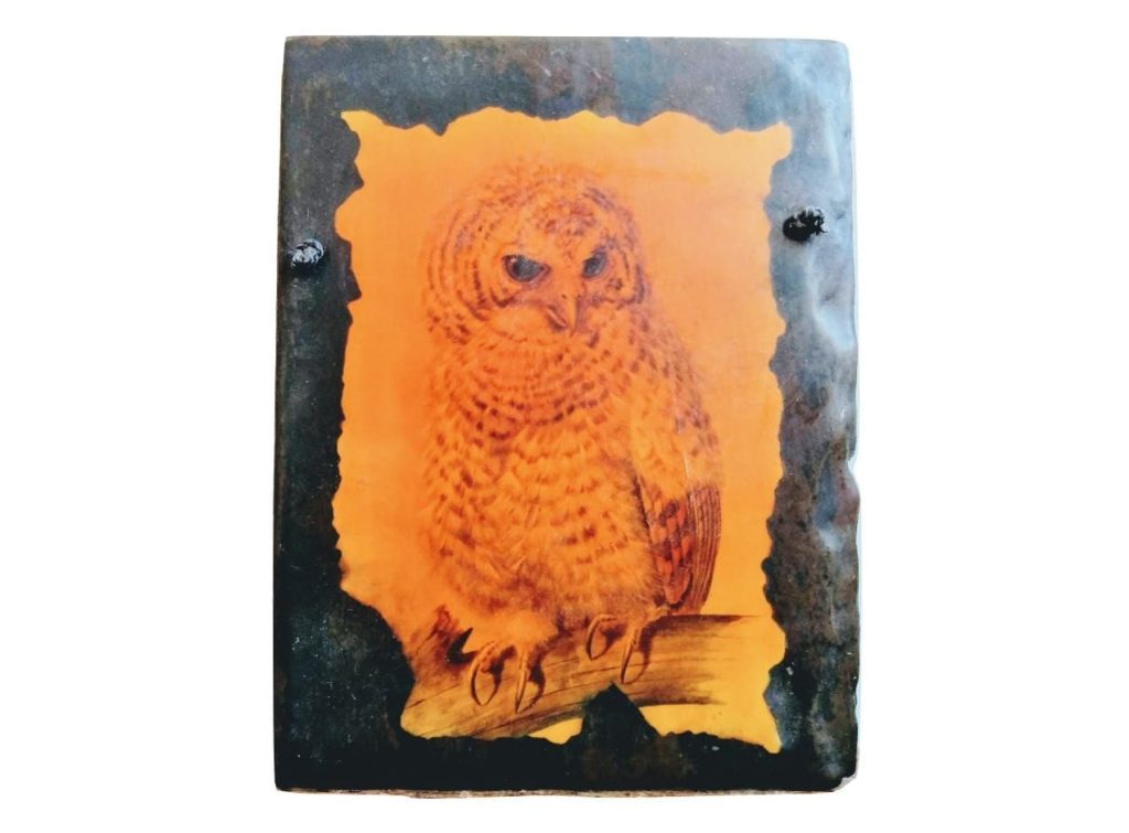 Vintage English Doverow Country Crafts Decoupage Owl Bird Print Picture On Slate Wall Hanging Display circa 1970-80’s
