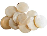 Antique Chinese INDIVIDUAL Mother Of Pearl Lotus Flower Round Circular Round Gaming Chip Counter Token Hand Engraved c1850's