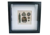 Wall Box Art 'Lion' by EVE Personally Curated OOAK Collection Wall Hanging Roman Antiques Brooch Decor Shadow Box Gift