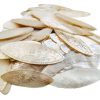 Antique Chinese Mother Of Pearl Collection Job Lot x 78 Mixed Gaming Chips Counters Tokens Hand Engraved circa 1800-1850's