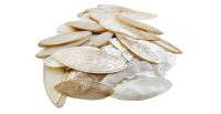 Antique Chinese Mother Of Pearl Collection Job Lot x 78 Mixed Gaming Chips Counters Tokens Hand Engraved circa 1800-1850's