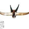 Vintage French Cow Bull Bovine Beef Horn Trophy Wall Hanging Display Decor Taxidermy Hunting Lodge Man Cave c1960-70s
