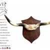 Vintage French Extra Large Cow Bull Horn Taxidermy Skull Head Horns On Heavy Wooden Plaque Bovine Trophy circa 1960-70's
