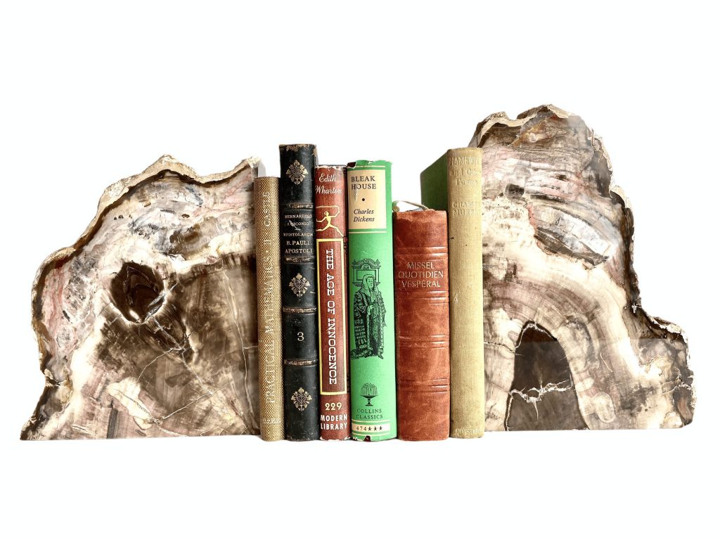 French Fossilised Petrified Tree Polished Stone Book End Pair Stand Holder Display Support