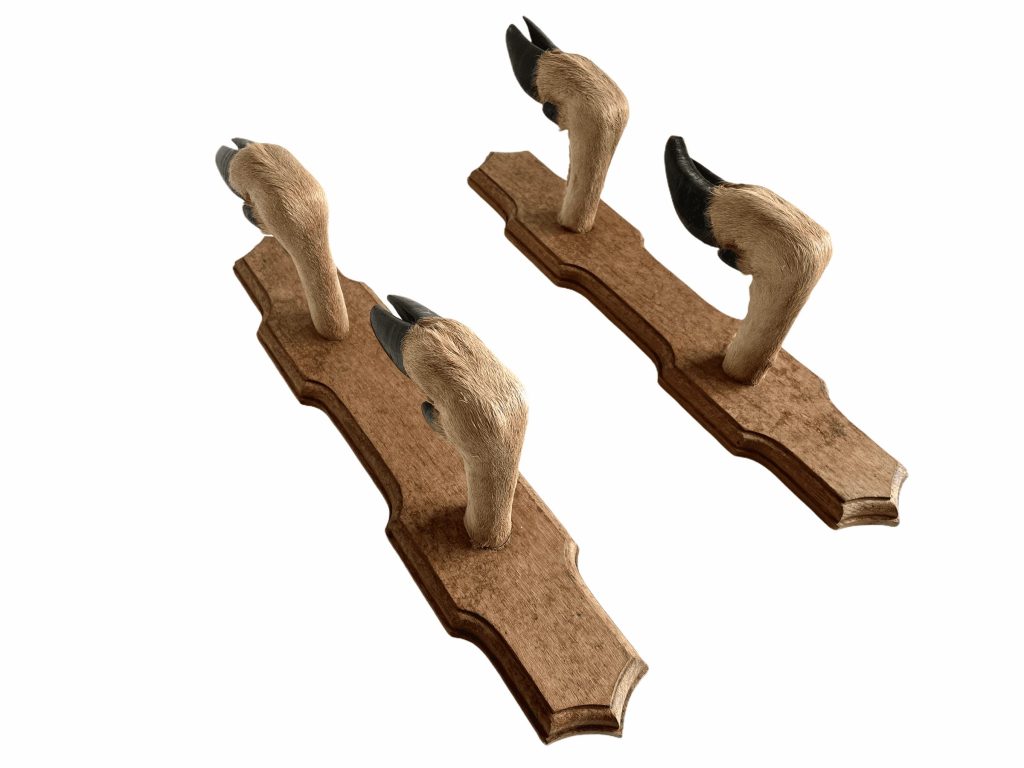 Vintage French Extra Large Double Hoof Gun Rack Coat Hook Hanger Hooks Hangers Deer Foot Taxidermy circa 1960-70’s