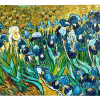 Vintage French Vincent Van Gogh Les Iris Reproduction Oil Painting Flowers Plants On Canvas Textured circa 1990-00's