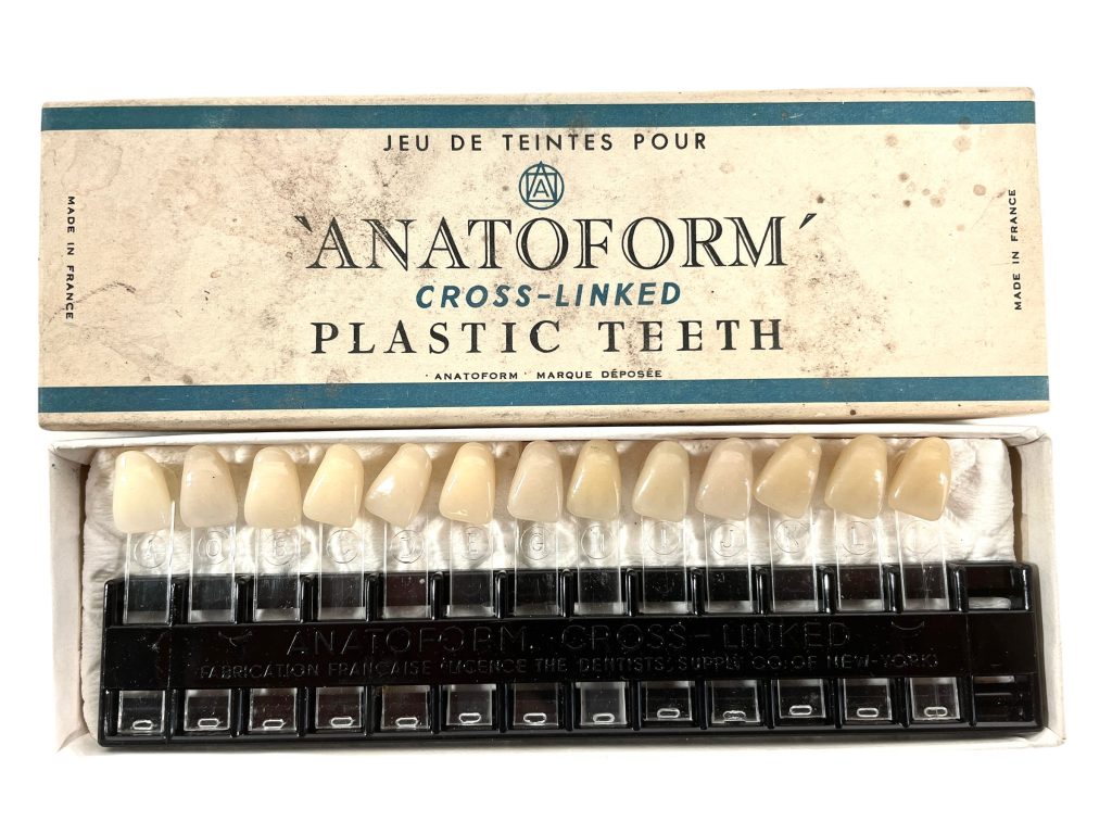 Vintage French German Anatoform Plastic Set Of False Replacement Teeth Tooth Colour Oddity Collection Decor c1950-70’s / EVE