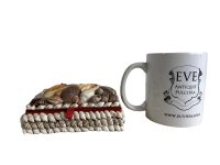 Alternative view of Vintage French Shell Seashell Decorated Trinket Jewellery Jewelry Boxes Box Display circa 1970-80's / EVE