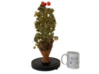 Alternative view of Antique French Medium Globe de Marie Mairee Marriage Globe Wedding Gift Glass Dome Presentation Decorative BROKEN circa 1900's / EVE