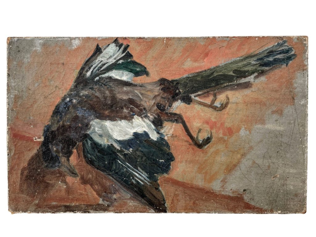 Vintage French Painting Acrylic Nature Mort Dead Bird On Wood Canvas Wall Decor Display c1940-50's / EVE