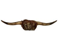 Vintage French Brown Cow Horn Bull Bovine Taxidermy Horns Wall Hanging Display circa 1950-60's / EVE