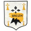 Vintage French Breizh Plaque Shield Coat Of Arms Crest Wooden Wood Sign Display circa 1980's / EVE