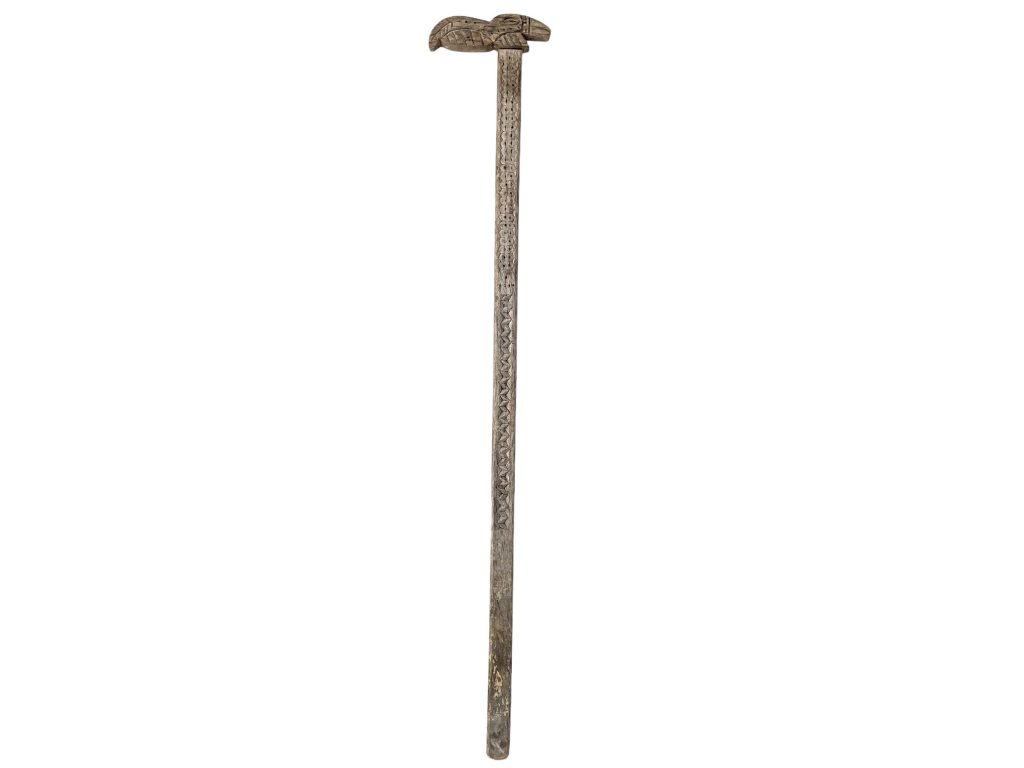 Vintage Australian Aboriginal Platypus Head Walking Stick Staff Man Gentleman Walking Aid Decor DIsplay Disabled c1940-50's / EVE