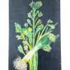 Vintage French Vegetable Painting Leek Celery Unusual Still Life On Canvas Signed Gibert circa 1981 / EVE