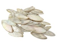 Antique Chinese Mixed Lot Of 39 Oval Open Eye Mother Of Pearl Gaming Chips Counters Tokens Currency Collection c1850's