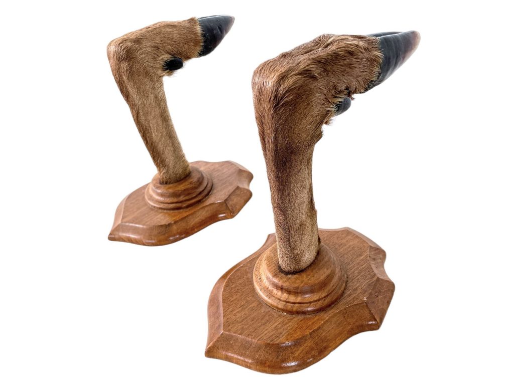 Vintage French large wooden wall mounted coat hook hanger deer foot taxidermy circa 1970-80's of Europe