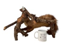 Alternative view of Vintage French mounted Pine Martin Weasel Ferret taxidermy figurine statue on wood branch root wall trophy circa 1950-60's of Europe