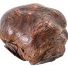 Vintage French Root Ball Stump Burr Paper Weight Office Desk Gift Texture circa 1930-50's