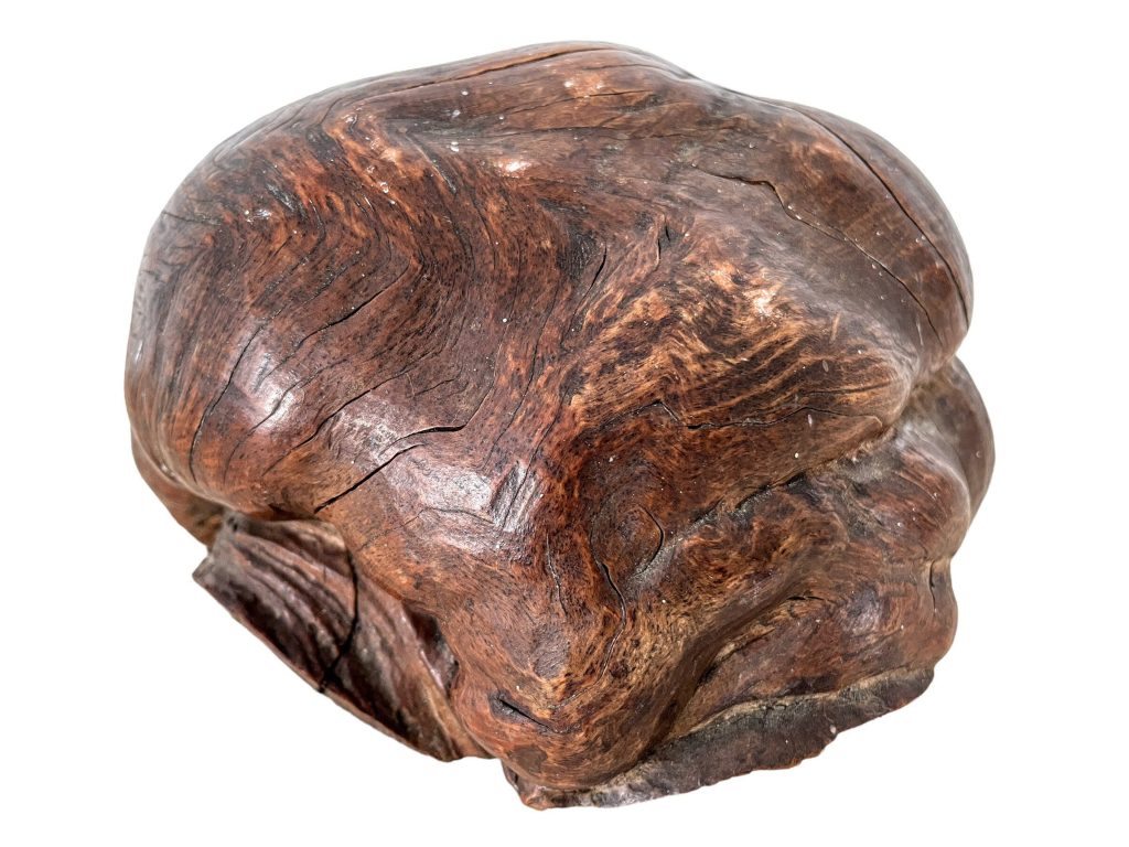 Vintage French Root Ball Stump Burr Paper Weight Office Desk Gift Texture circa 1930-50’s