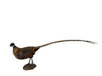 Alternative view of Vintage French Taxidermy Pheasant Bird On Wooden Stand rustic rural ornament figurine statue trophy decor circa 1970-80's