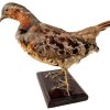 Vintage French Taxidermy Crested Bird On Wooden Stand rustic rural ornament figurine statue trophy decor circa 1970-80's