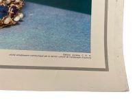 Alternative view of Vintage French Print The Charlemagne Crown School Poster Teaching Aid Austria Austrian Prints c1950-60's