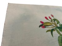 Alternative view of Vintage French Bird On Branch Study Acrylic Painting On Card Nieve Folk Art Picture Wall Hanging Art c1960-70's