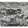 Vintage French Aerial Photo Print Cave Painting Drawing Lascaux Lapie Collection 1 Framing Display Photo c1950's