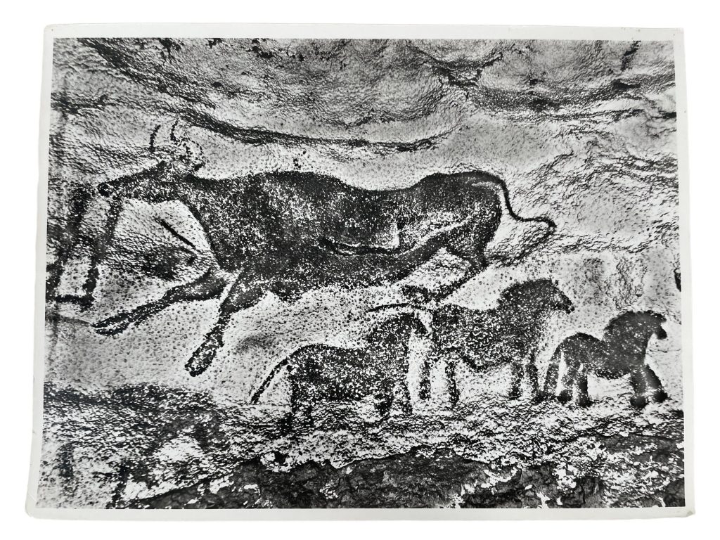 Vintage French Aerial Photo Print Cave Painting Drawing Lascaux Lapie Collection 1 Framing Display Photo c1950’s