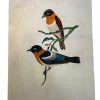 Vintage French Bird On Branch Study Acrylic Painting On Hardboard Wood Nieve Folk Art Picture Wall Hanging Art c1960-70's