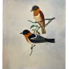 Vintage French Bird On Branch Study Acrylic Painting On Card Nieve Folk Art Picture Wall Hanging Art c1960-70's