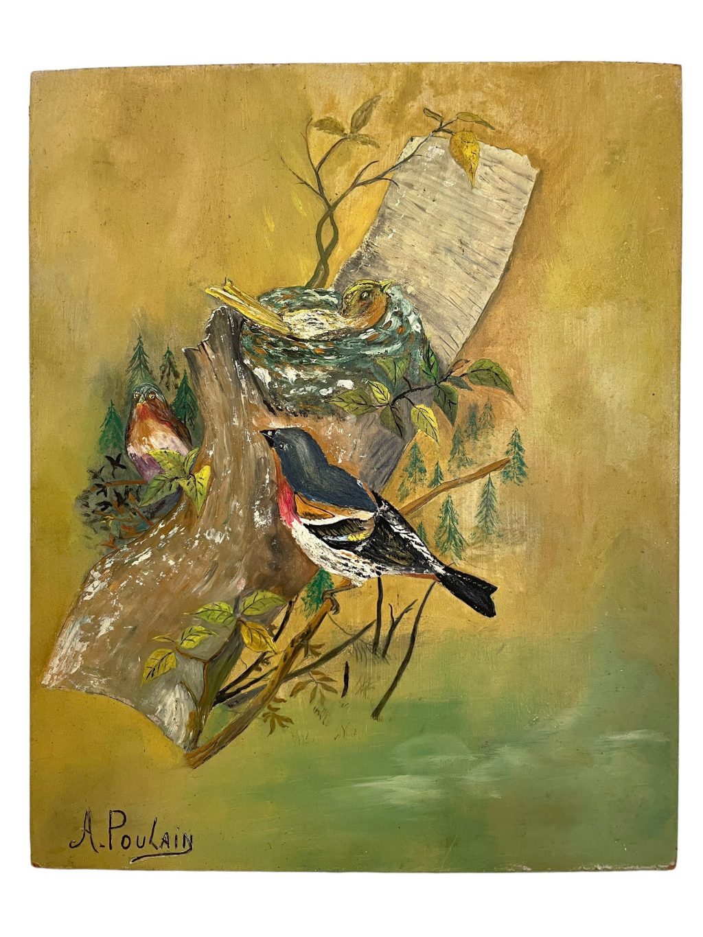 Vintage French Birds Bird Oil Painting On Wood Board By A Poulain Wildlife Study circa 1960’s