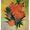 Vintage French Still Life Red Purple Flowers On Wood Board Painting Acrylic c1960-70's