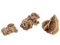 Antique Tunisian Desert Rose scholars rock tall heavy mineral formation organic natural desktop sculpture circa 1910-50's