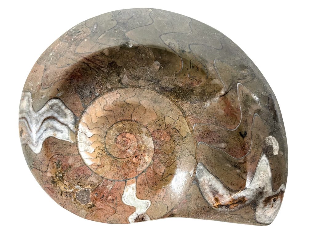 Vintage French Polished Fossil Ammonoid organic natural desktop sculpture circa 1990’s