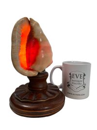 Alternative view of Vintage French Handmade Sea Shell Electric Lamp Light Desk Table Sideboard circa 1940-50's