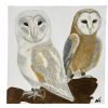 Owl Owls Birds Acrylic Original Painting On Canvas Wall Decor Decoration Animal Art - Nicky Churchyard