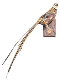 Vintage French Mounted Jay Bird Taxidermy Figurine Statue On Branch For Wall Fixing Curio Display Decor Circa 1950-60’s