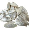 Antique Chinese Mother Of Pearl Collection Job Lot x 45 Mixed Teardrop Gaming Chips Counters Tokens Hand Engraved circa 1800-1850's