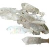 Antique Chinese Mother Of Pearl Fish Shaped Love Dove Gaming Chip SOLD INDIVIDUALLY Counters Tokens Engraved c1800-1850's