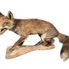 Vintage French Red Fox Taxidermy Statue Figurine Ornament Hunting Lodge Man Cave Traditional Decor circa 1950-60's
