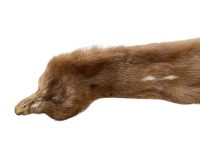 Alternative view of Vintage French Brown Mink Cravat Fur Collar Scarf Wrap Tie Taxidermy circa 1960-70's