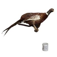 Alternative view of Vintage French Taxidermy Pheasant Bird On Wall Plaque rustic rural ornament figurine statue trophy decor circa 1960's