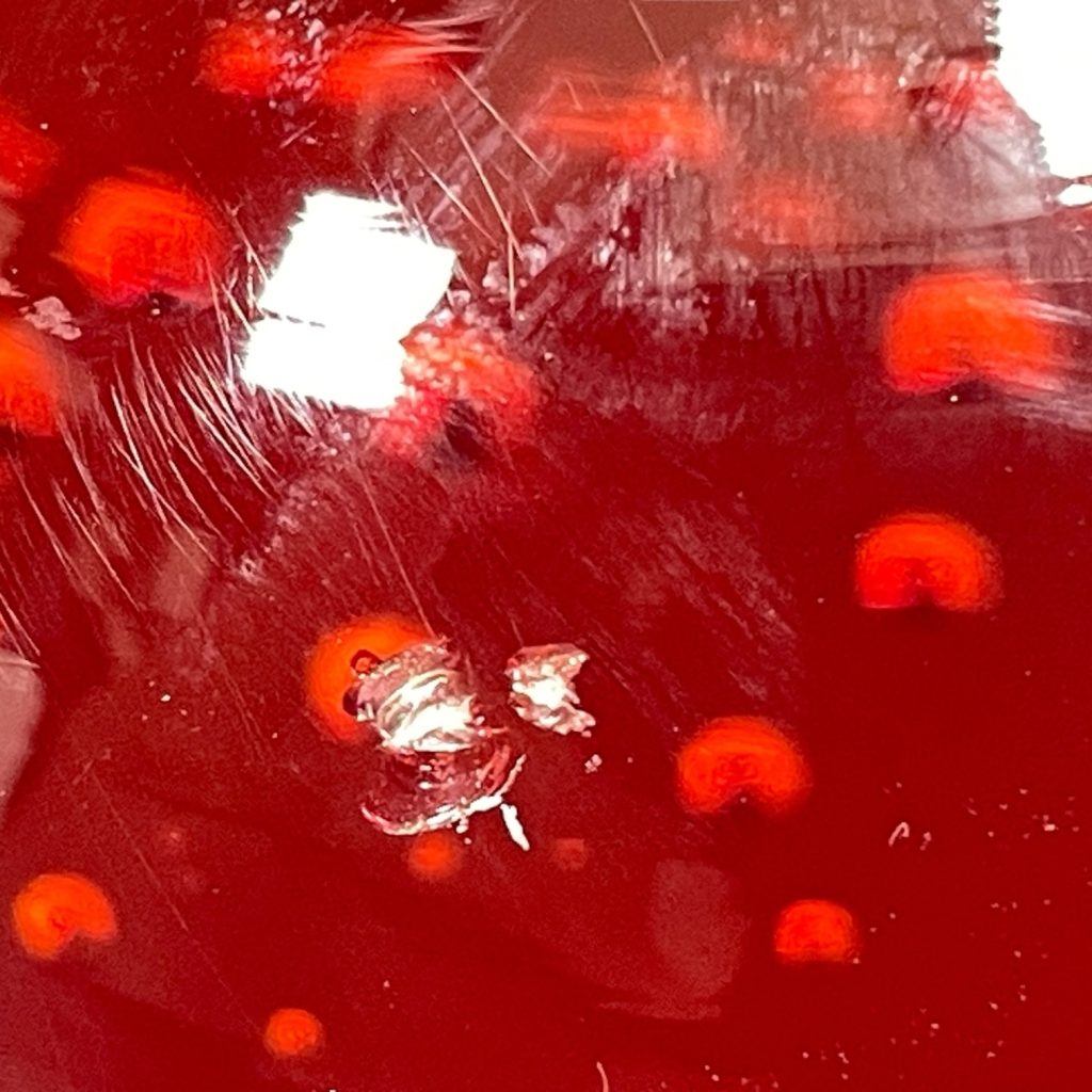 European Vintage Emporium