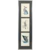 Vintage Canadian Inuit Art Richard Shorty Collection Of Three Framed Bird Prints c1980-90's