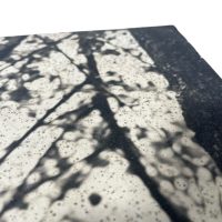 Alternative view of Vintage African Animal Safari Photographic Lion In Tree Print Display Photo Prints On Wood Board c1960-70's